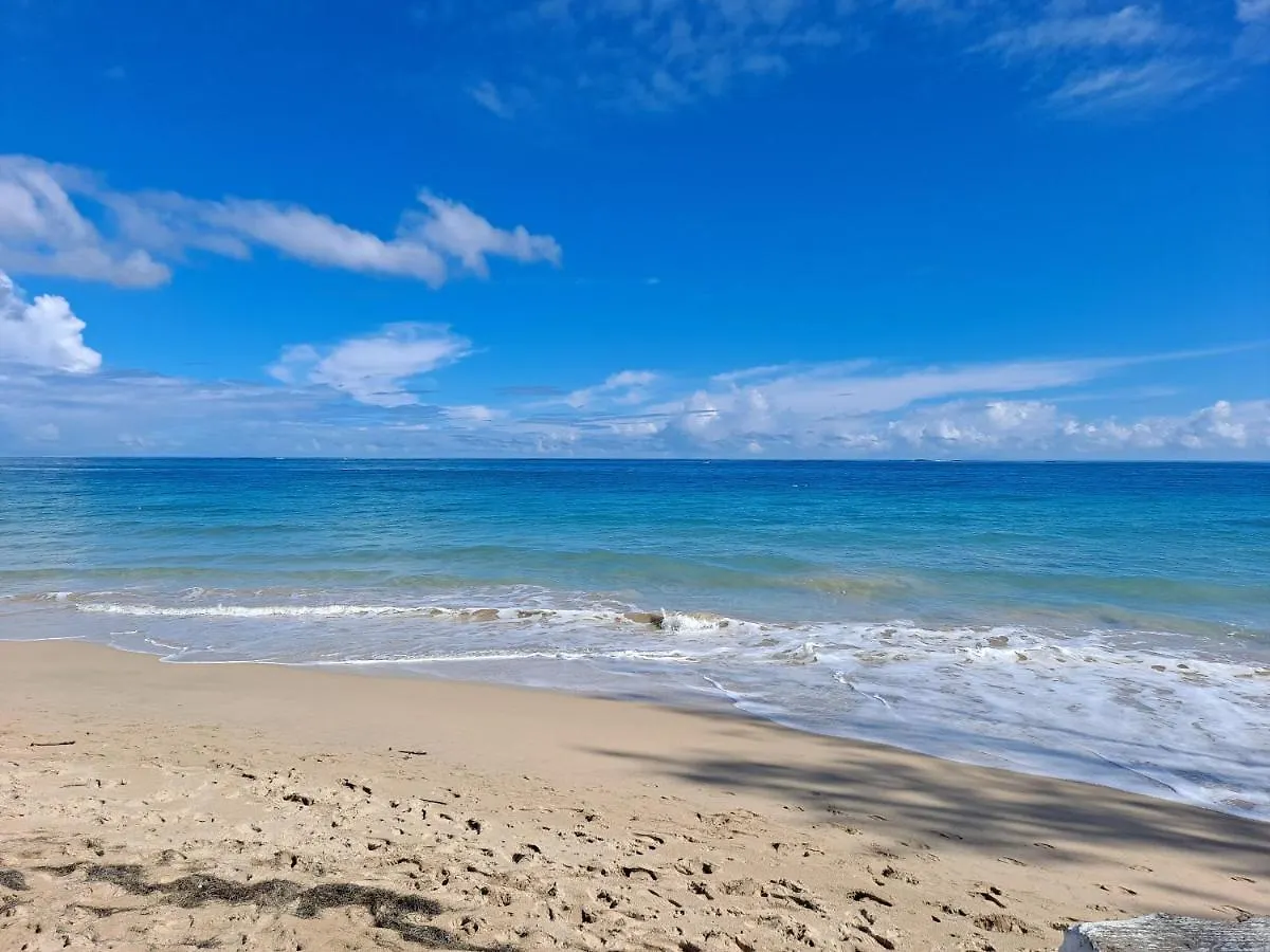 Apartment Cozybeach Large 1Bdrapt 50 Steps From Atlantic Ocean Private Street Between Ocean Park & Isla Verde 5 Mins From Airport San Juan Puerto Rico